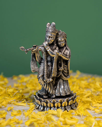 Divine: Radha-Krishna in Silver - Prata